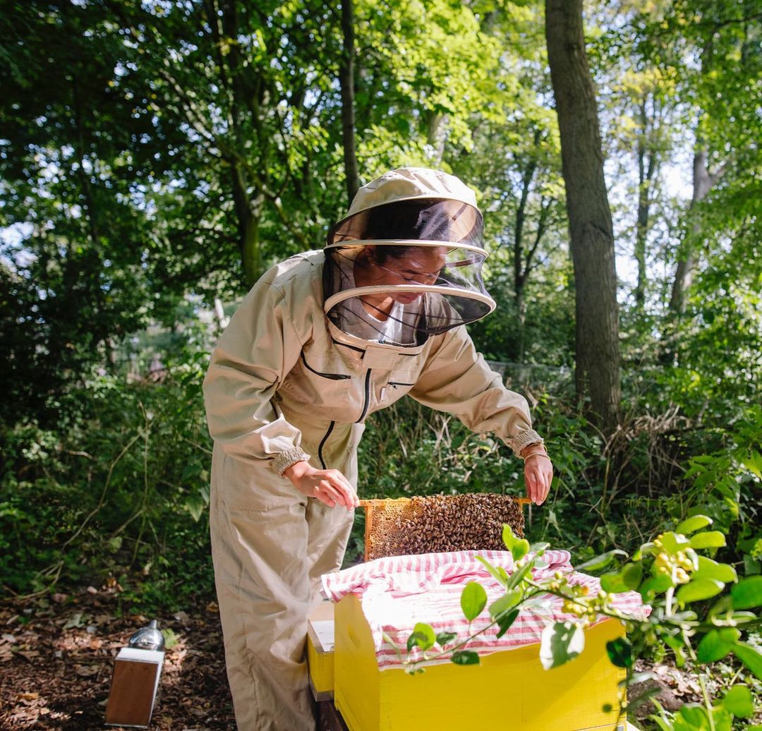 How to start beekeeping: four female beekeepers share their journey – Gisou