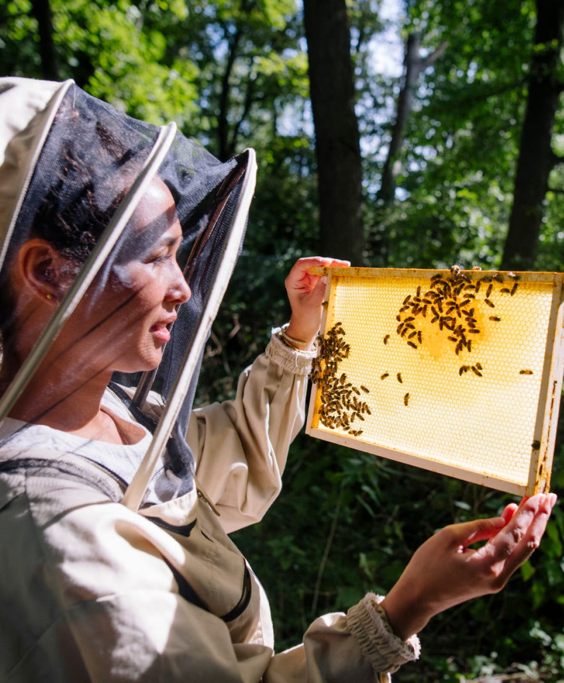 A girl dressed up in beekeeping clothing holding a honeycomb frame with honeybees on it