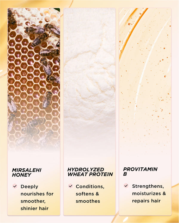 Infographic showing key ingredients of Honey Infused Hair Mask